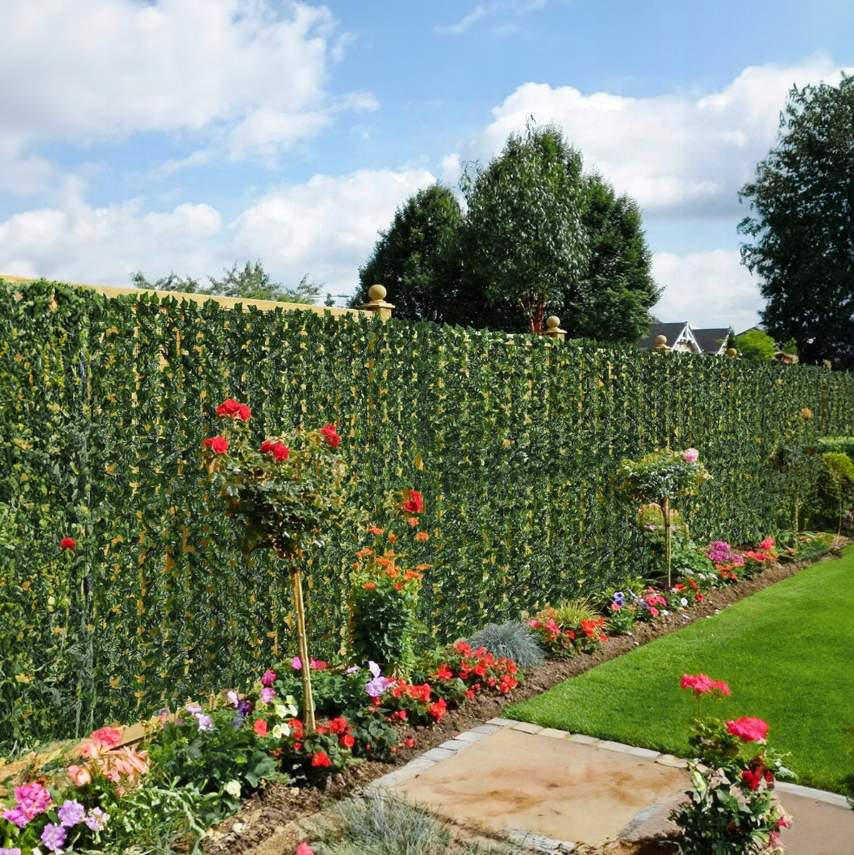 umelý živý plot - brečtan